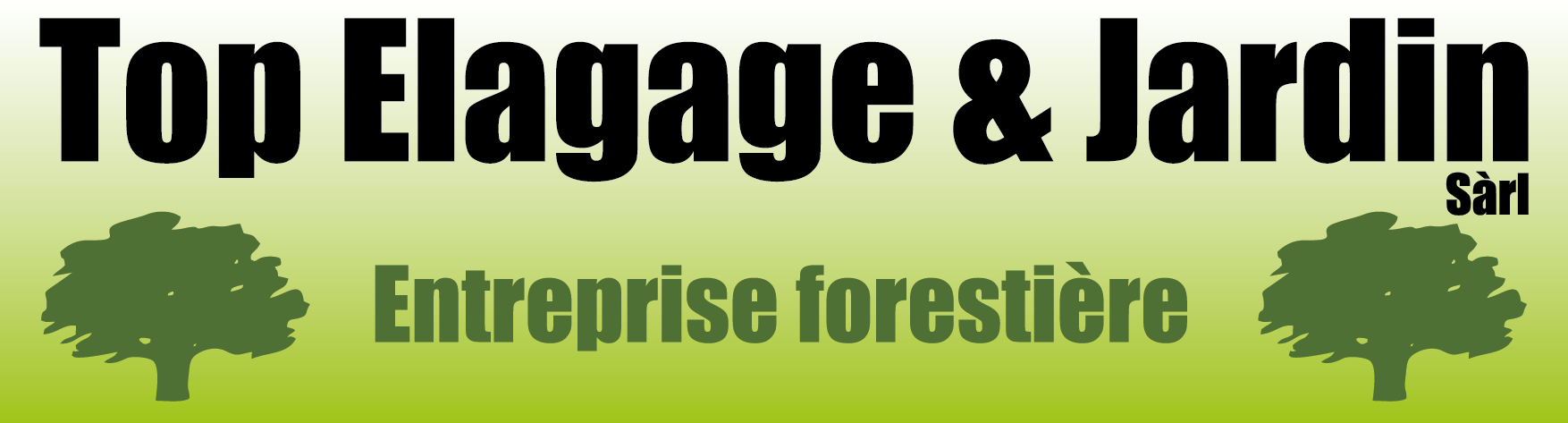 Top Elagage