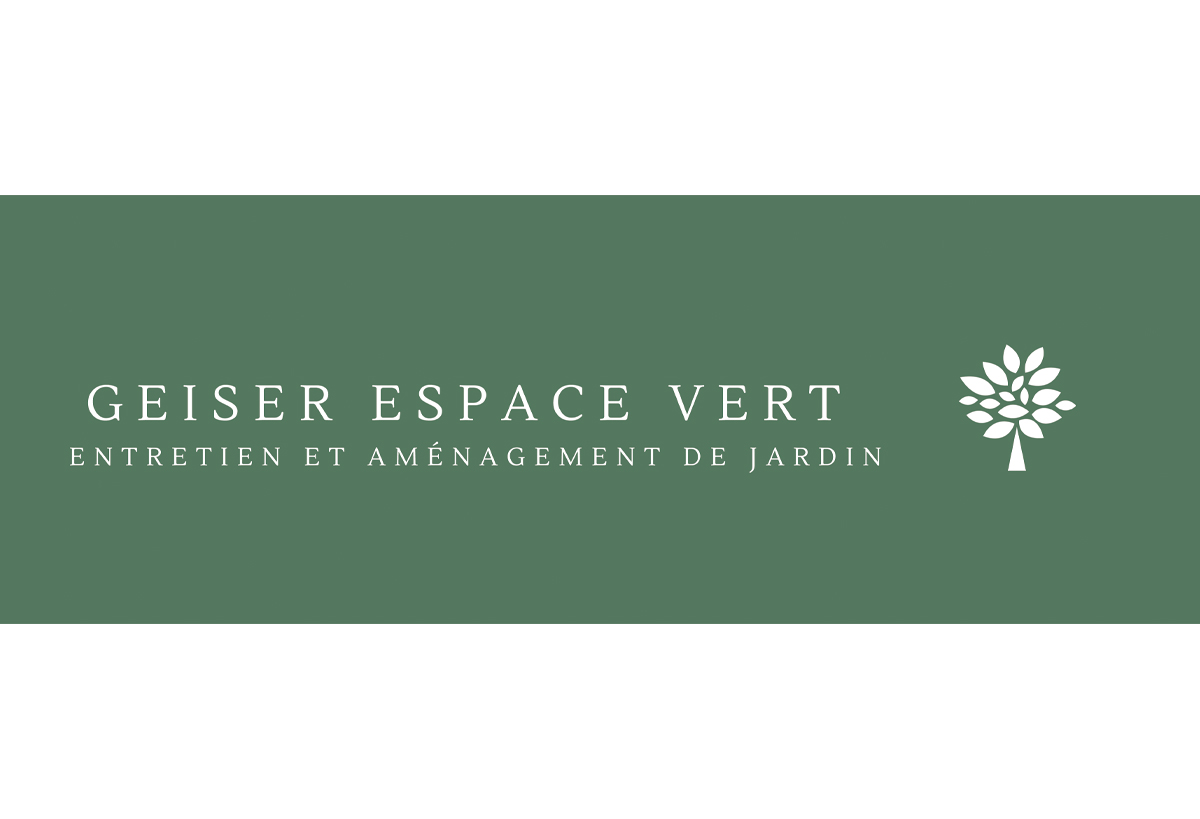 geiser